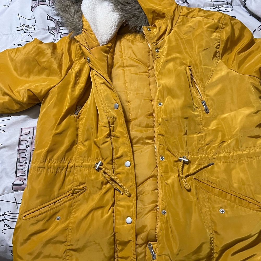 New look coat